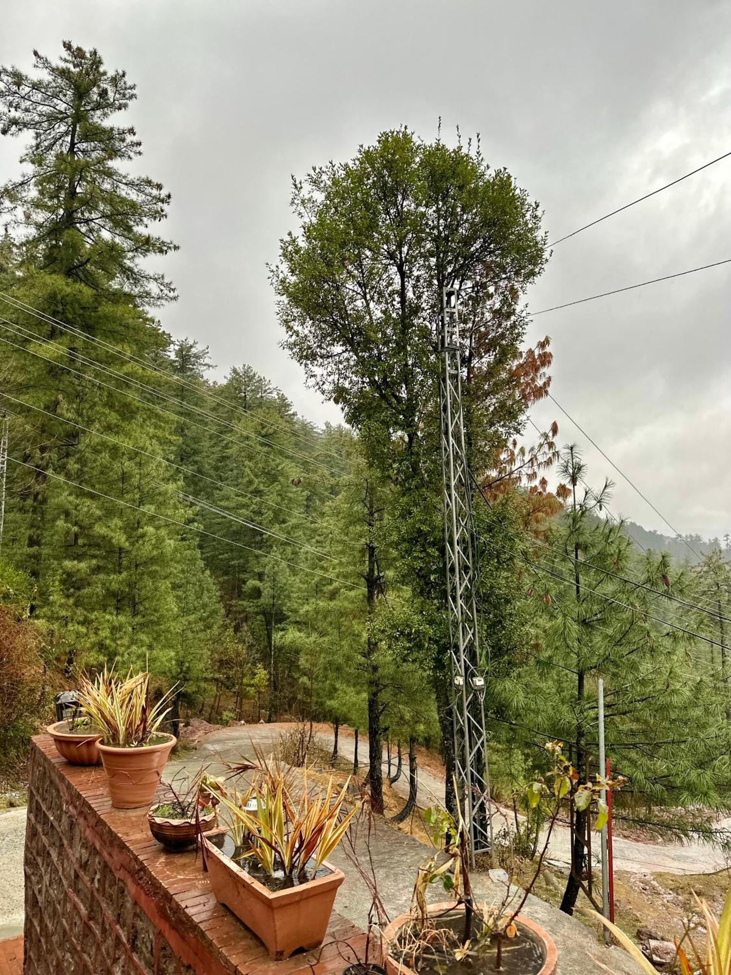 Sarah'S Lodge Murree Exterior foto